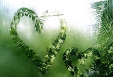 克萊回歸大通中心感慨輕松許多 略少船長帽的情意綿綿.